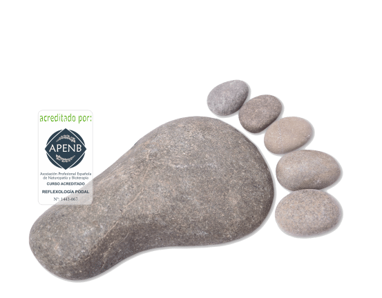 CURSO DE REFLEXOLOGIA PODAL